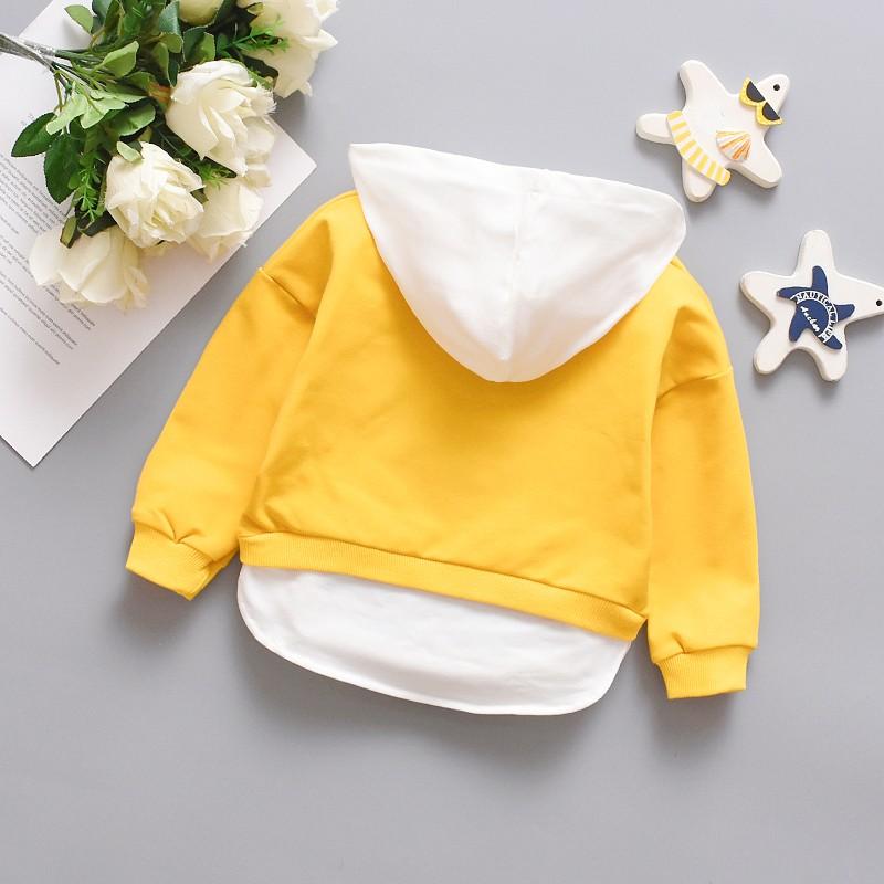 Baby / Toddler Adorable Ear Decor Long-sleeve Hoodie